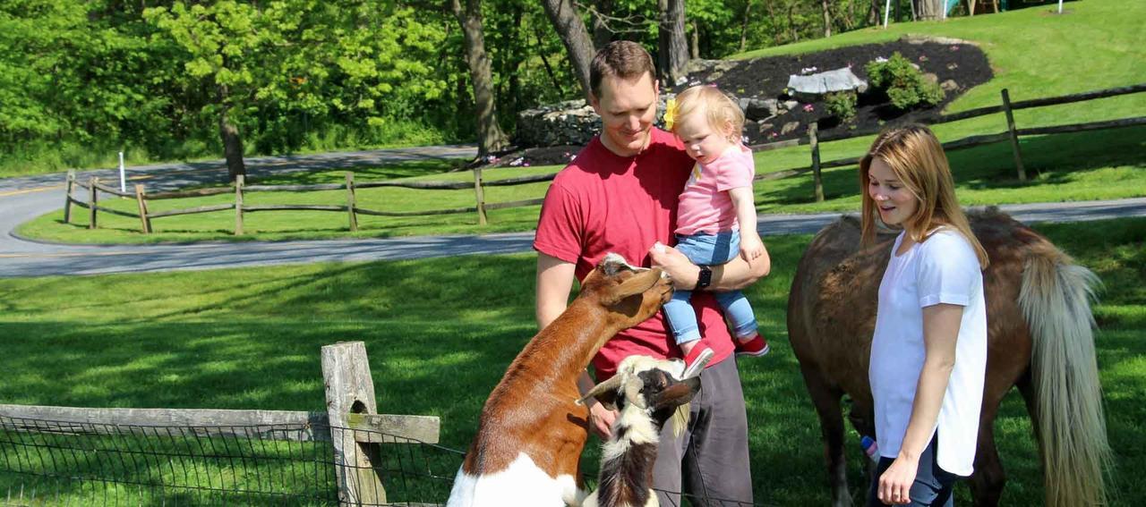 Rocky Acre Farm Bed & BreakfastMount Joy エクステリア 写真
