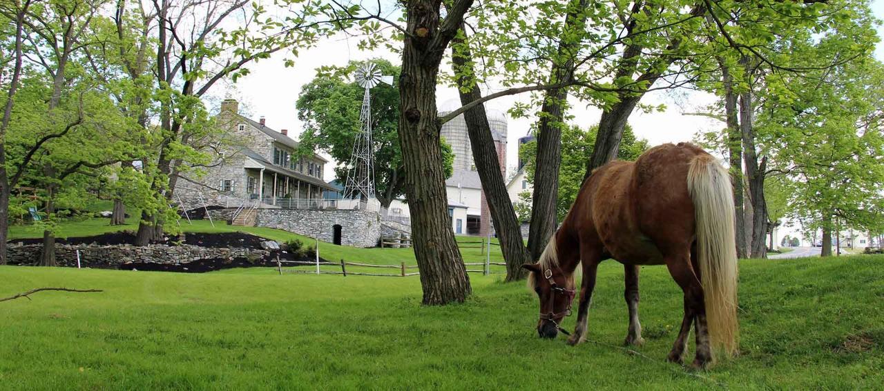 Rocky Acre Farm Bed & BreakfastMount Joy エクステリア 写真